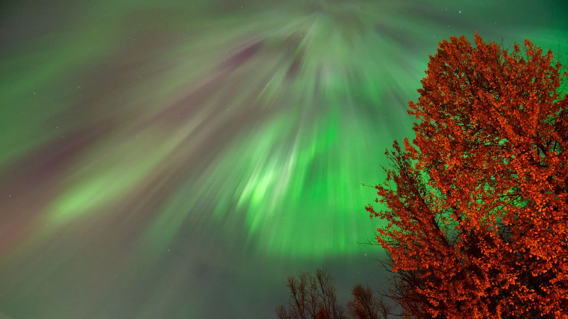 Aurora Shines After Solar Storm: Talk on PKLive